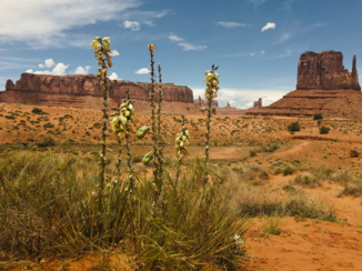 Amerika - Monument Valley