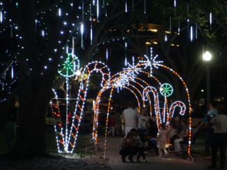 Florida - Park aan de haven st. Petersburg