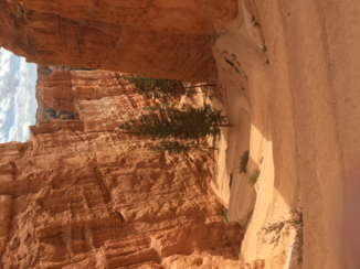 Bryce Canyon National Park