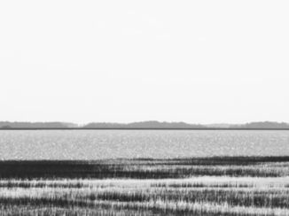 Florida - Garnalenboot in South Carolina