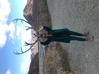 Glacier National Park - Denali National Park, Alaska