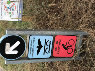 Amerika - Bat bridge Austin