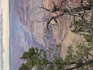 Amerika - Grand canyon