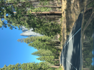 Amerika - Yosemity national park