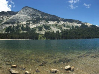 Riksja Family Amerika