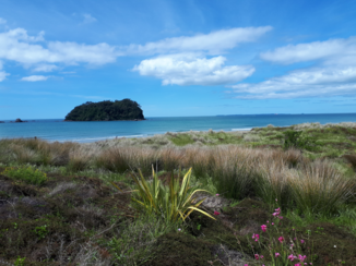 Travel Essence - Moturiki Island Reserve